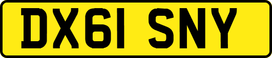 DX61SNY