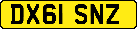 DX61SNZ