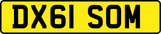 DX61SOM