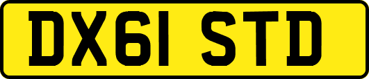 DX61STD