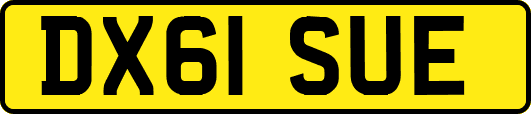DX61SUE
