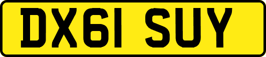 DX61SUY