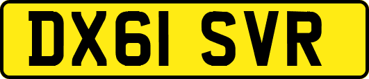 DX61SVR