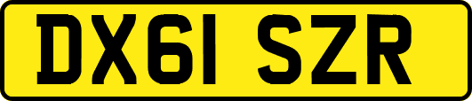 DX61SZR