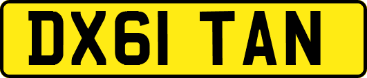 DX61TAN