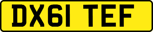 DX61TEF