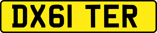 DX61TER