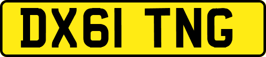 DX61TNG