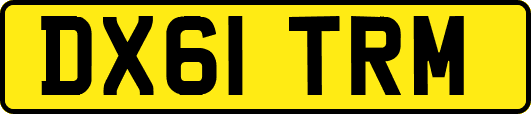 DX61TRM