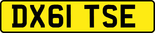 DX61TSE