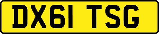 DX61TSG