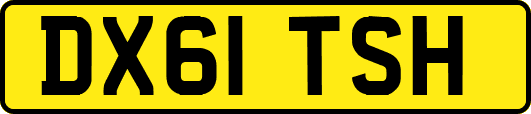 DX61TSH