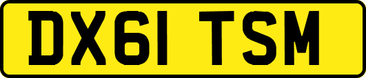 DX61TSM