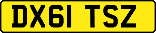 DX61TSZ