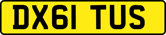 DX61TUS