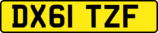 DX61TZF