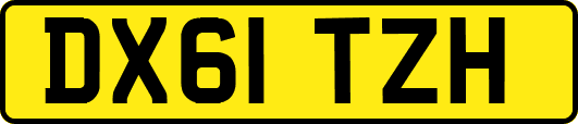 DX61TZH
