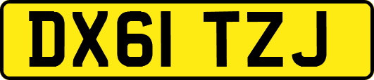 DX61TZJ