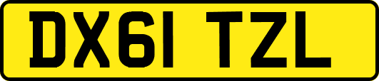DX61TZL