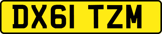 DX61TZM