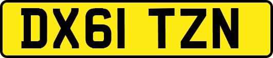 DX61TZN