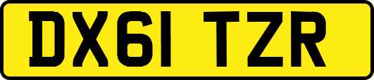 DX61TZR