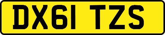 DX61TZS