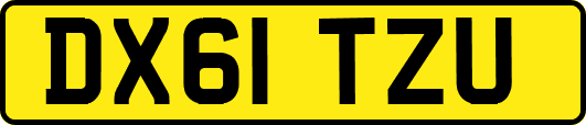 DX61TZU