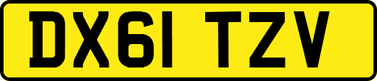 DX61TZV