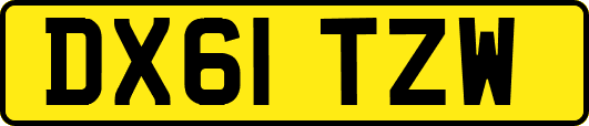 DX61TZW