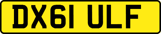 DX61ULF
