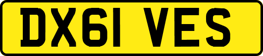 DX61VES