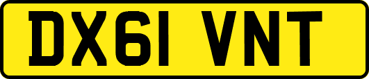 DX61VNT