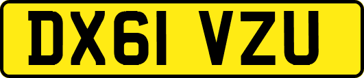 DX61VZU
