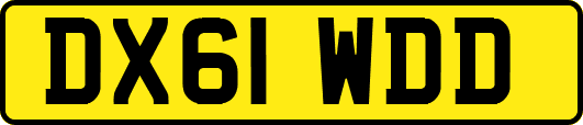 DX61WDD