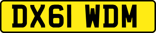 DX61WDM