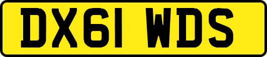 DX61WDS