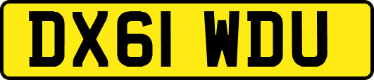 DX61WDU