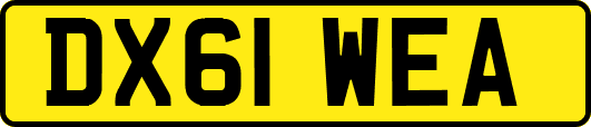 DX61WEA