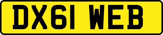 DX61WEB