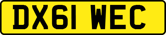 DX61WEC