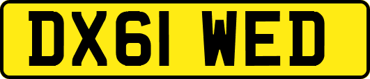 DX61WED