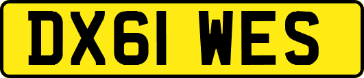DX61WES