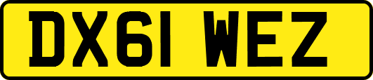 DX61WEZ