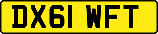 DX61WFT