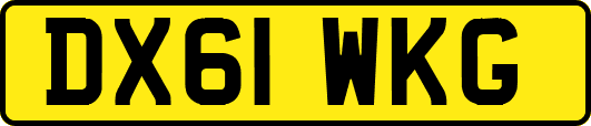 DX61WKG