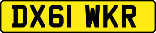 DX61WKR