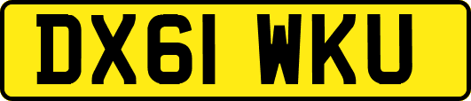 DX61WKU