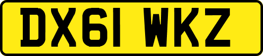 DX61WKZ
