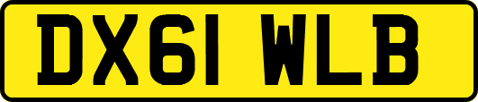 DX61WLB